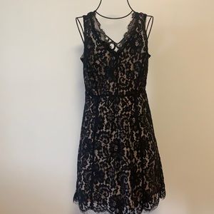 Black lace Loft Outlet dress